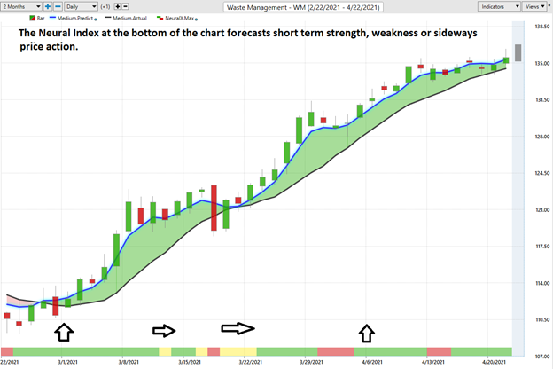 Neural Index Forecast For WM